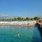 Daima