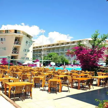Daima