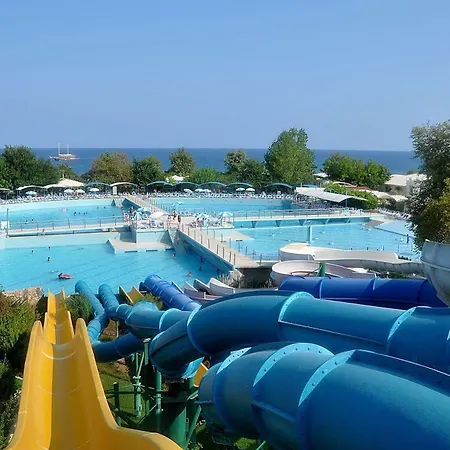 Daima 5*